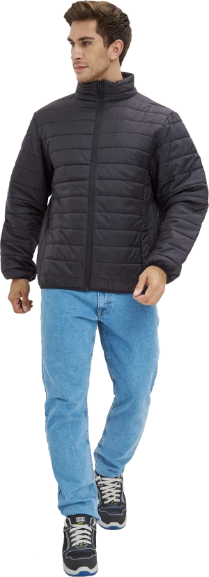 Куртка ДЕМИ стеганая, черный Кур 002