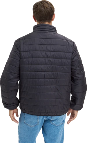 Куртка ДЕМИ стеганая, черный Кур 002