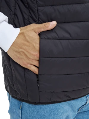 Жилет ДЕМИ стеганый, черный Жил 006