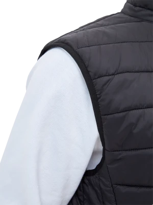 Жилет ДЕМИ стеганый, черный Жил 006